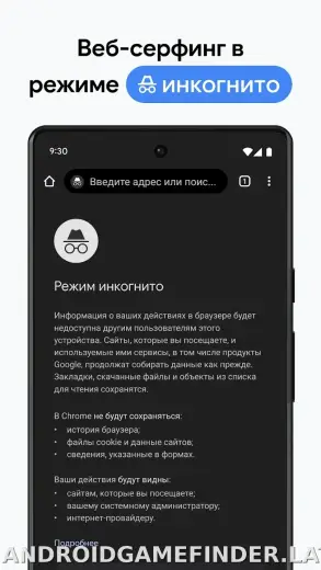 Google Chrome скриншот 3